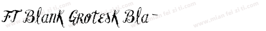 FT Blank Grotesk Bla字体转换